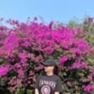 Meet your Posher, Hồng liên